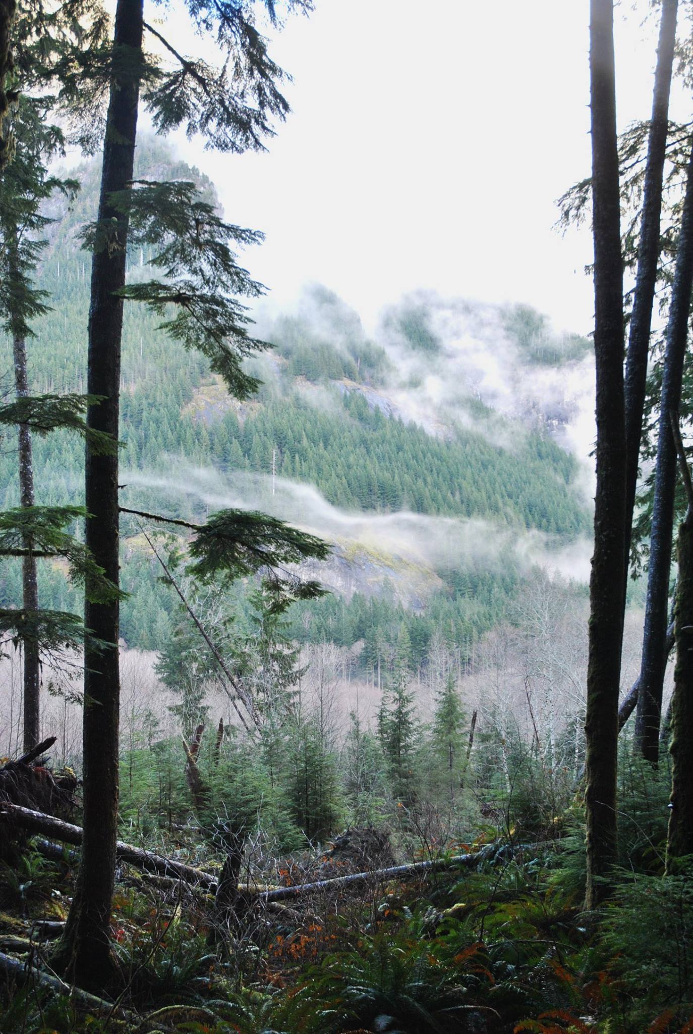 10620339_1000246906655729_5255263759682992897_o