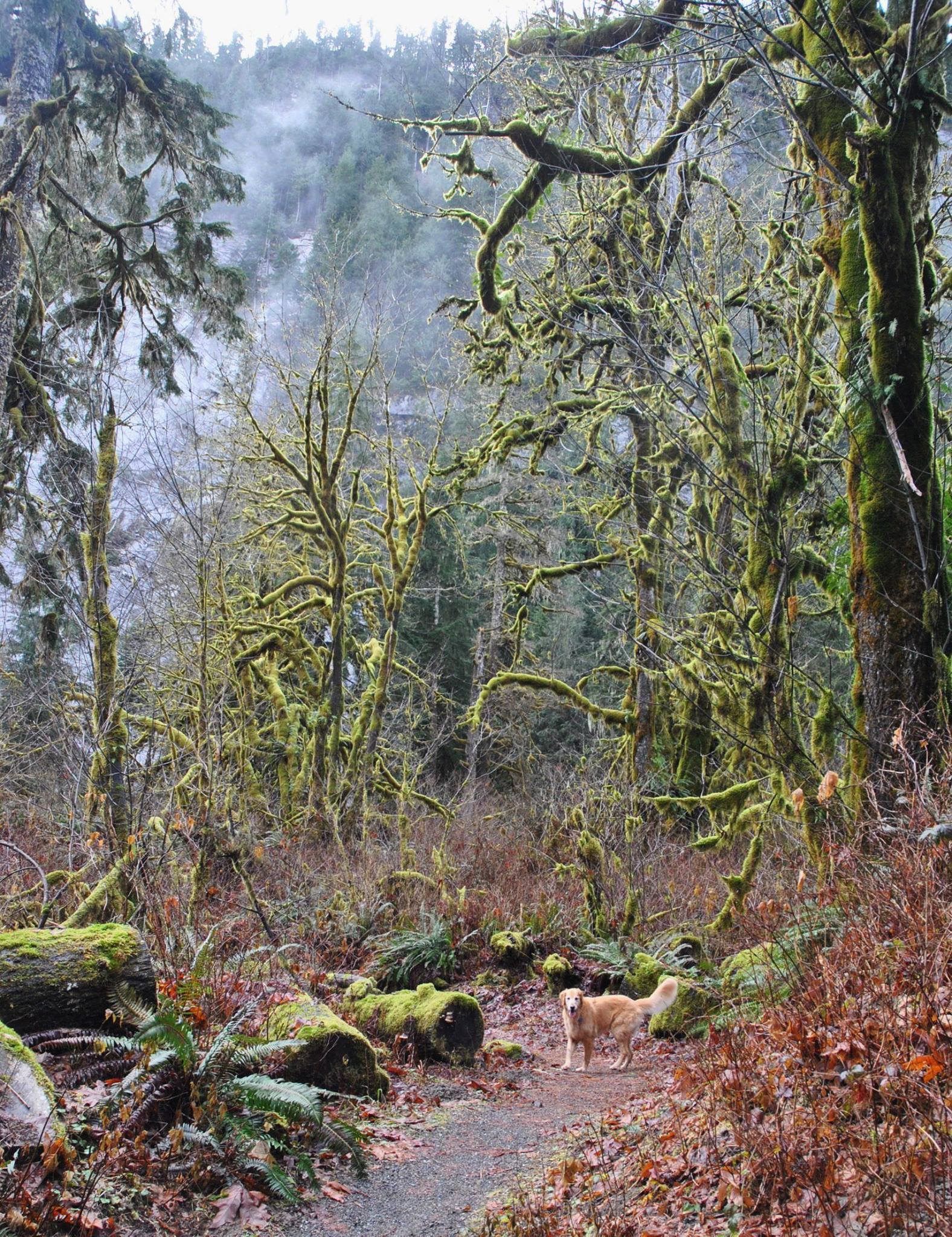 10828077_1000246866655733_6370918508388837856_o