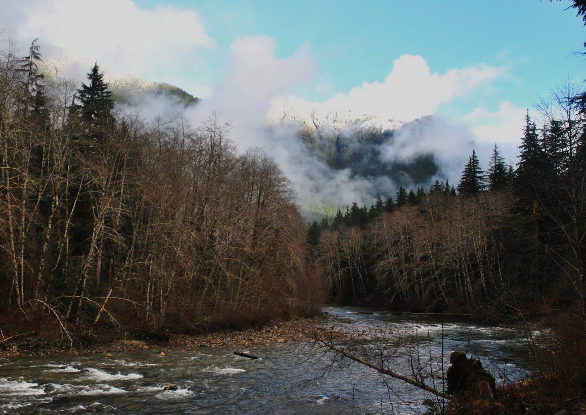 10857229_1000246903322396_2312347672923735947_o