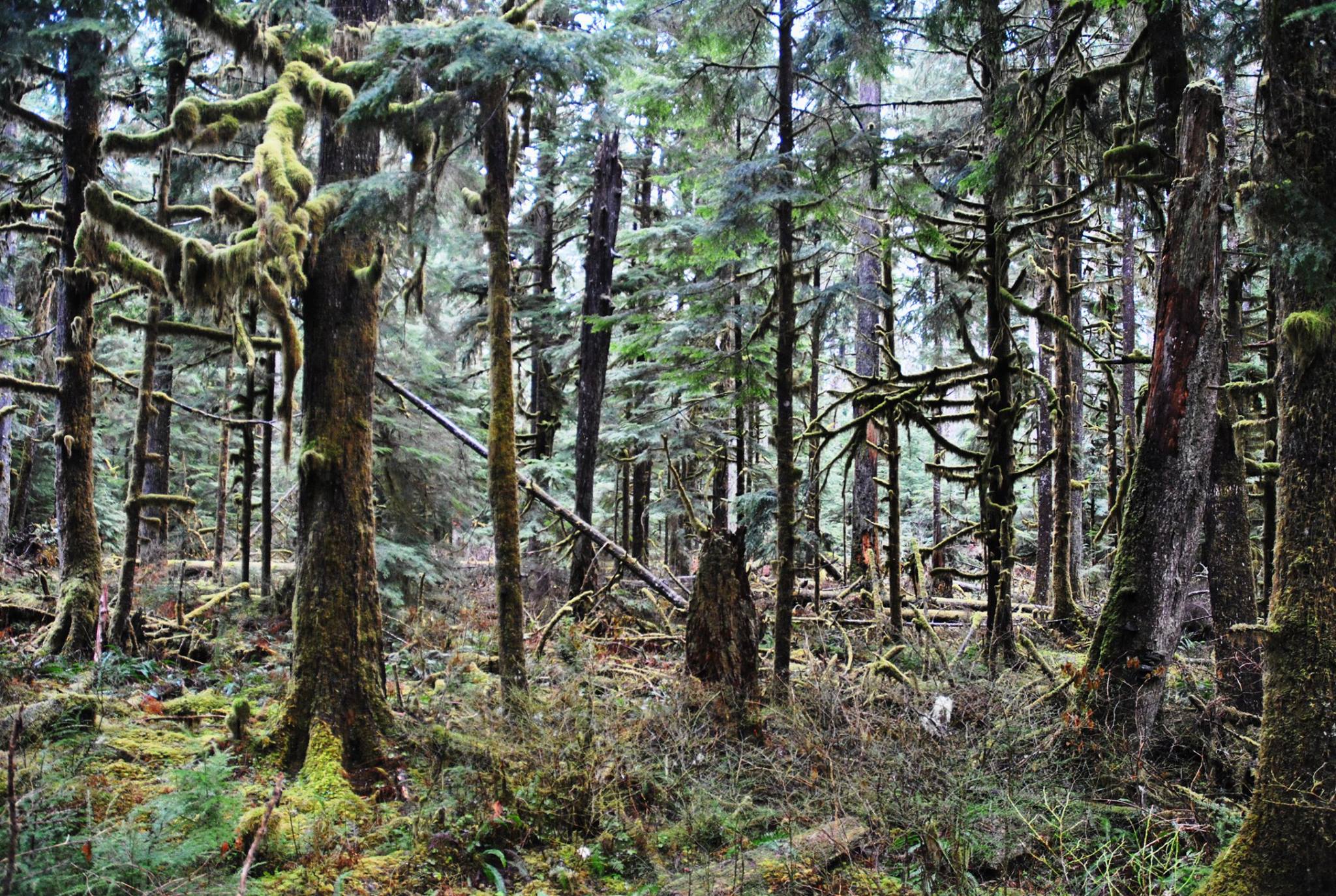 10865830_1000246933322393_2236702922320766269_o