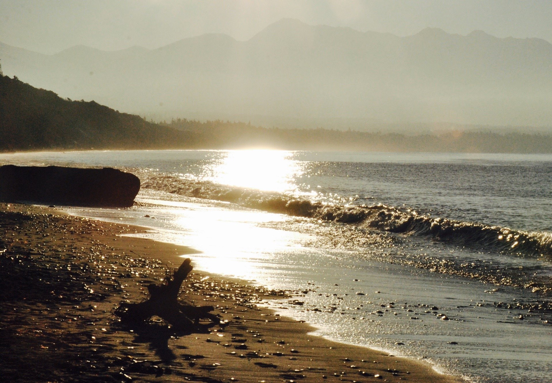 12304534_1222680754412342_890894552652884950_o