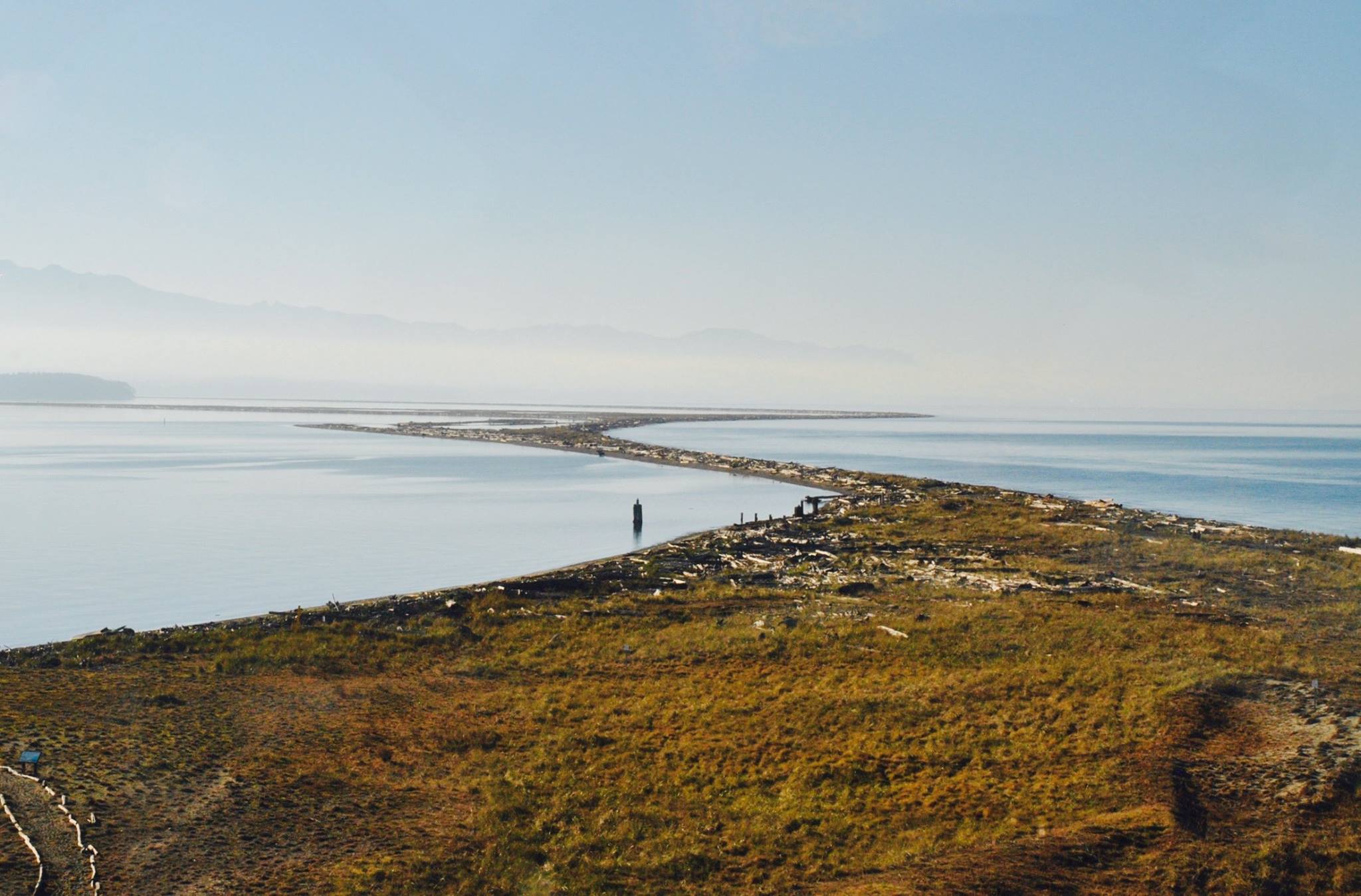 12314258_1222680647745686_2495633762115833862_o